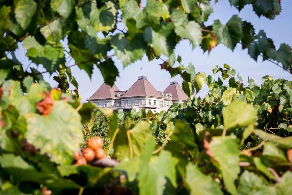 Chateau Elan Winery Hotell Braselton Eksteriør bilde