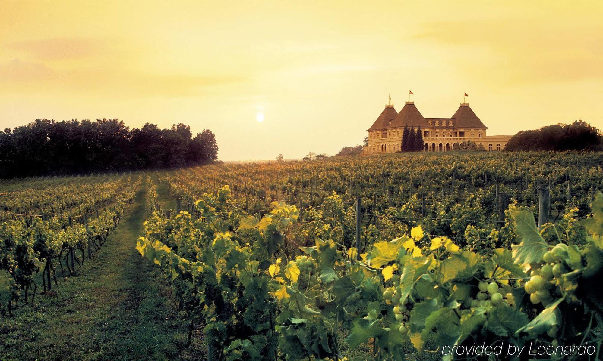 Chateau Elan Winery Braselton Eksteriør bilde