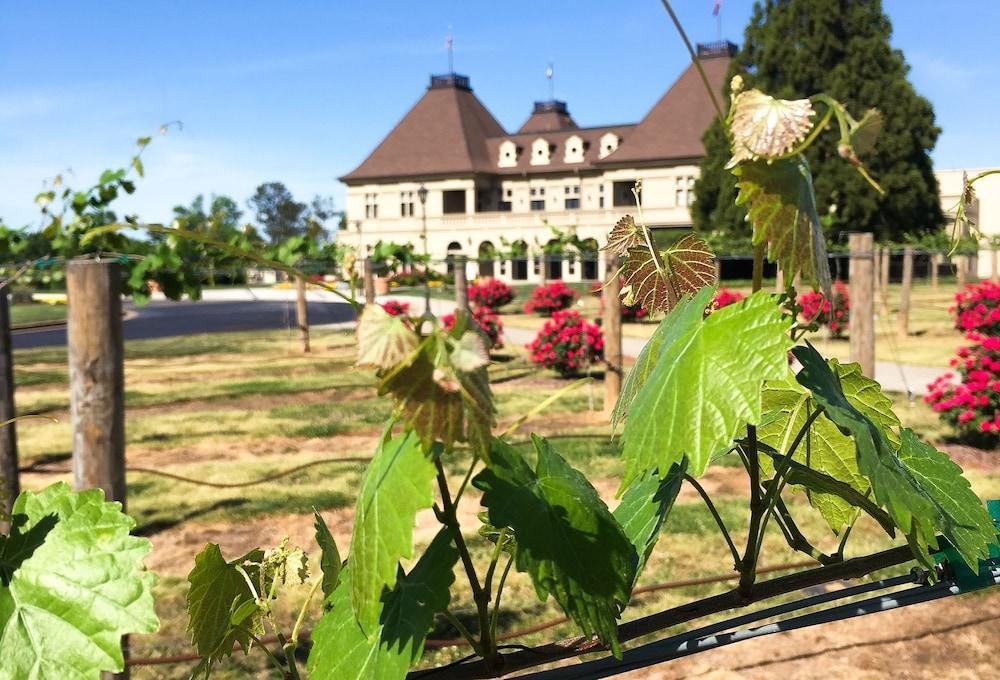 Chateau Elan Winery Hotell Braselton Eksteriør bilde